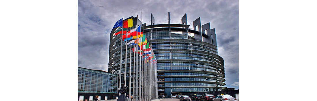 <strong>Parlamentul European a aprobat aderarea UE la Convenția de la Istanbul</strong>