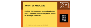Восточно-Европейская Коалиция за Равенство ЛГБТ+ открывает конкурс на вакансию Финансовый Менеджер